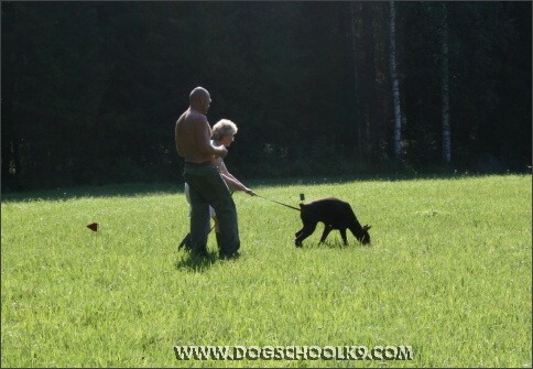 Summer training camp in Finland 2007